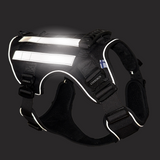 Cerberos Harness Side Reflector Pair