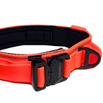 Cerberos Dog Collar
