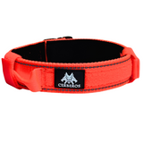 Cerberos Dog Collar