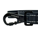 Cerberos Leash