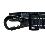 Cerberos Leash