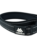 Cerberos Leash