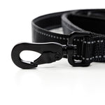 Cerberos Leash