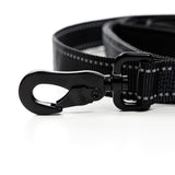 Cerberos Leash