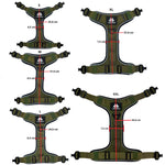 Cerberos Active Harness Forest Green