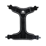 Cerberos Active Harness Night Black