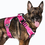 Cerberos Active Harness Pink Camo