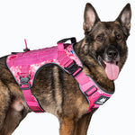 Cerberos Tactical -valjaat Pink Camo